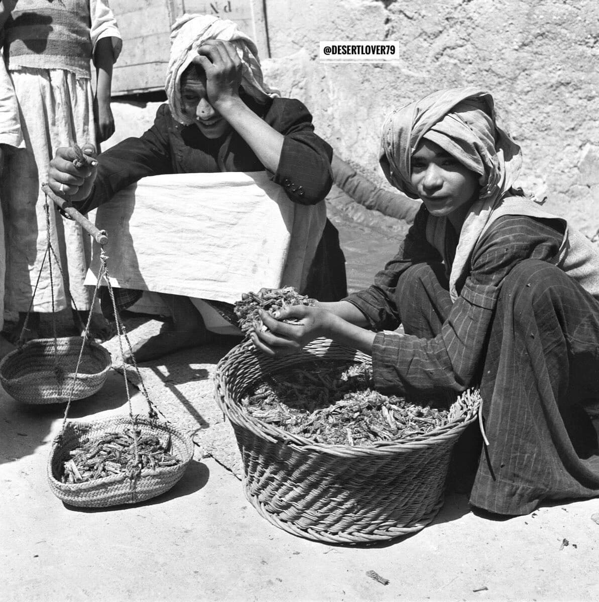 شاب يبيع الجراد في أحد أسواق المنطقة الشرقية