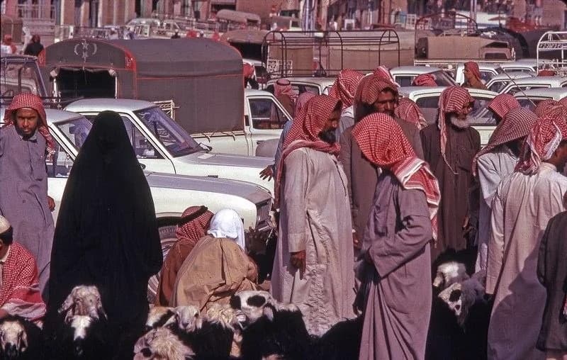 سوق الأغنام في بريدة قبل 50 عام