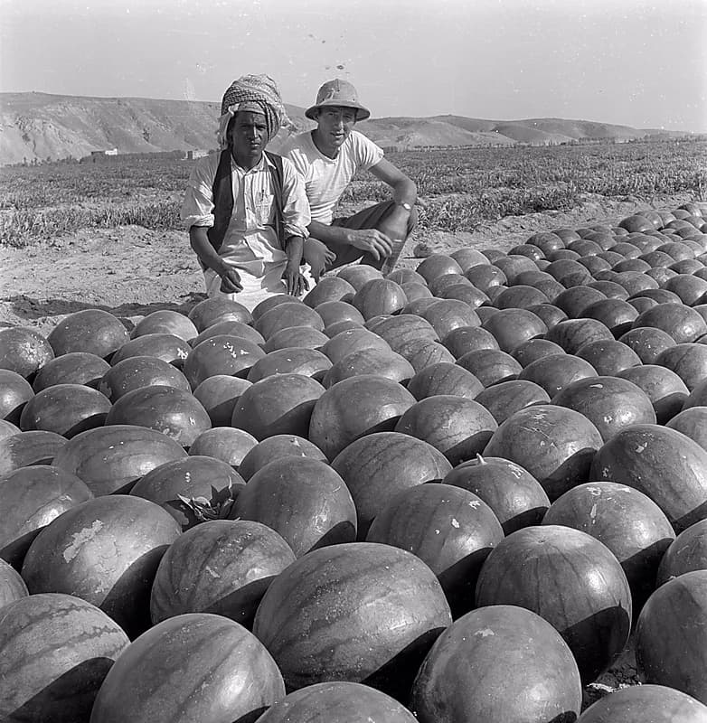 لقطة قديمة من أمام البطيخ بالخرج