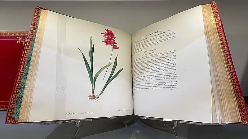 عرض كتاب نادر للرسام الراحل" بيري جوزيف" بمعرض الرياض الدولي للكتاب