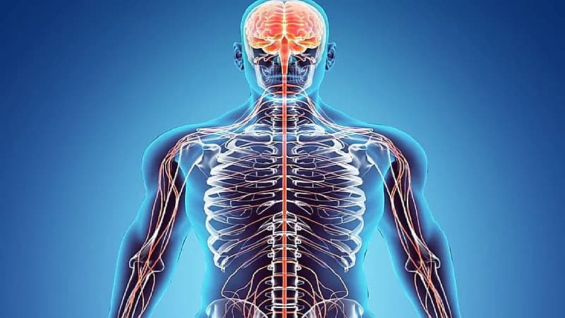 أعراض شائعة تنذر بإصابة الرجل والمرأة بفيروس الورم الحليمي البشري