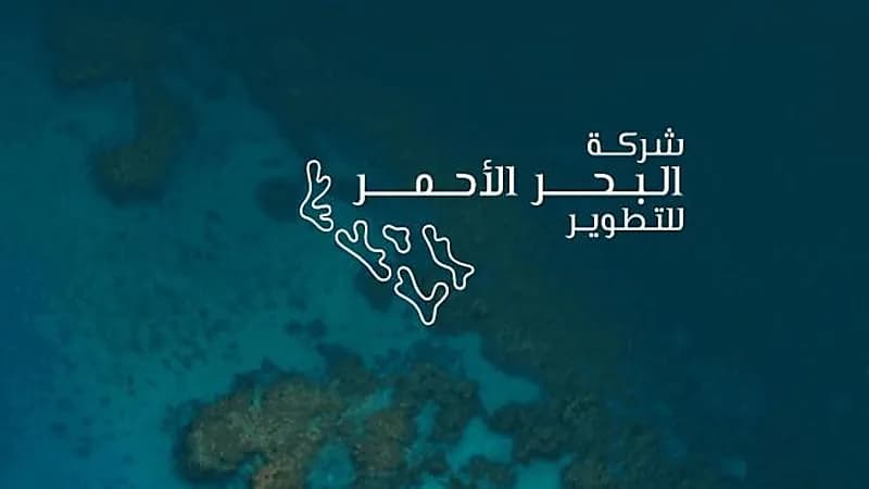وظائف شاغرة في مشروع البحر الأحمر