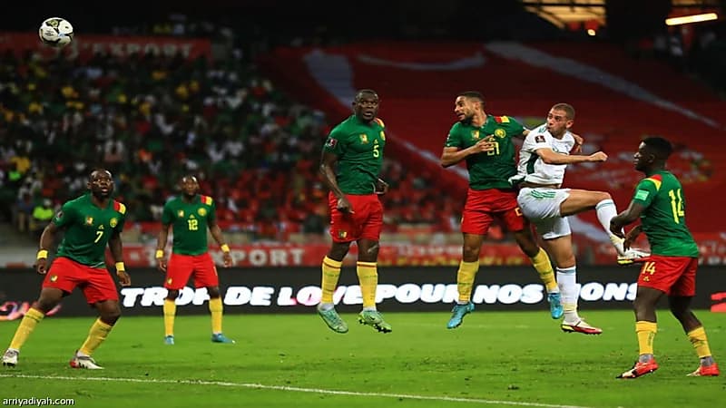 منتخب الجزائر يتقدم رسميا بطلب لإعادة مباراته أمام الكاميرون