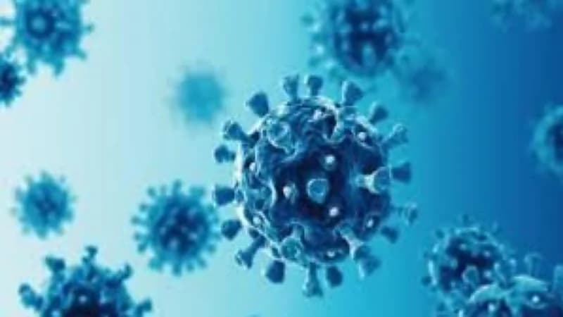 سلالتان من أوميكرون تتسببان في موجة تفش جديدة 