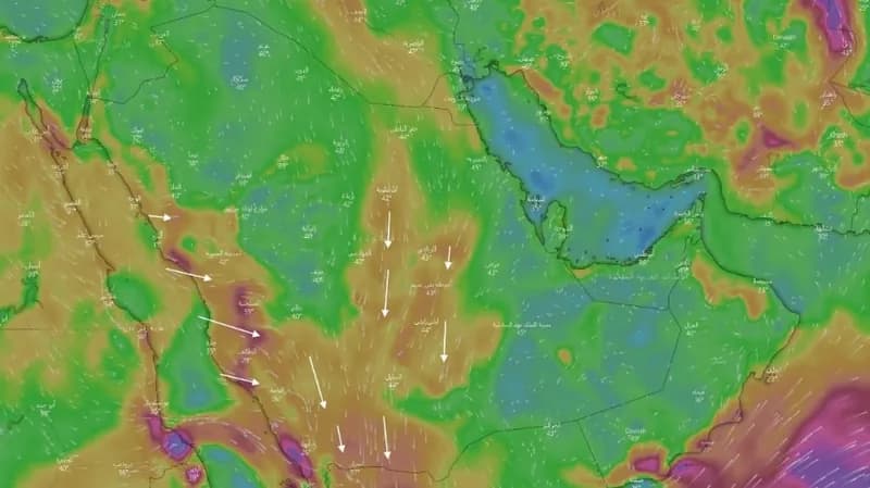 "المسند": اليوم دخول طالع الهنعة أشد أيام الحر في السنة