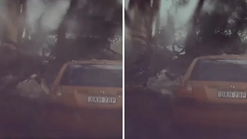 لحظة نجاة سائق من الموت..فيديو