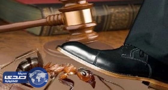 مواطن يقاضي مقيمًا لدهسه " نملة " متعمدًا