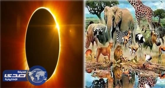 إطلاق الحملة الوطنية ضد الإنفلونزا الموسمية في جازان