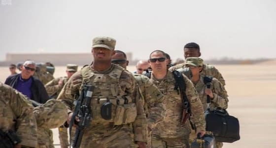 بالفيديو.. السجن لحصان " بتهمة " رفس سيارة