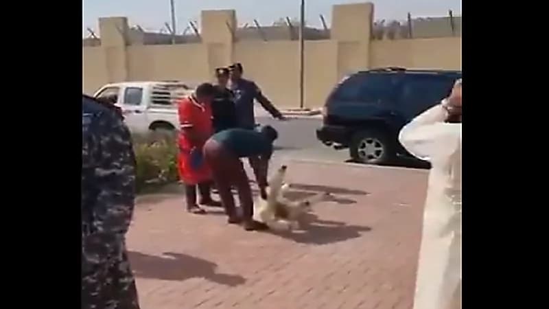 بالفيديو.. رجال أمن الكويت يذبحون الخرفان لنجاة " ضابط " خلال مواجهة قاتل والدته