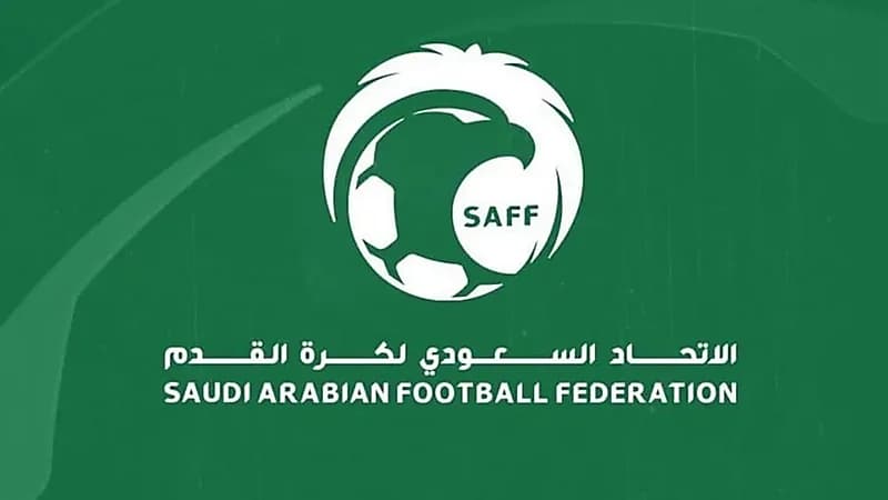 اتحاد الكرة يعتزم زيادة عدد أندية دوري المحترفين لـ 18 فريقًا 