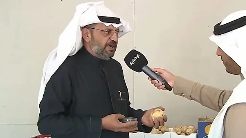 بالفيديو.. مختص يوضح الفرق بين الفقع الطبيعي والمستزرع وسبب ارتفاع أسعاره