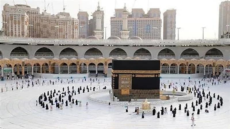 مسؤول يكشف عن 3 أسباب وراء توقف أعمال نصف شركات العمرة