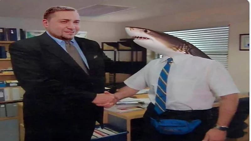 مسؤول أميركي يشمت في روسيا بعد التهام سمكة قرش لأحد مواطنيها في مصر