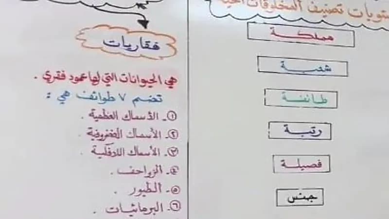 معلم ينظم سبورة الفصل بطريقة مذهلة