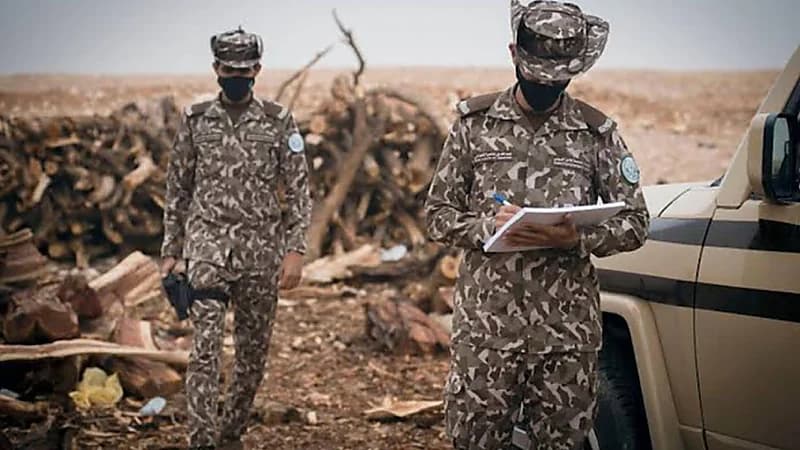 ضبط مواطنين بحوزتهما حطب محلي معروض للبيع بالمدينة المنورة...فيديو