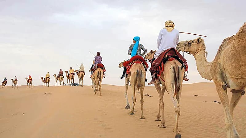 قصة ظهور كلمة بدوي لأول مرة .. فيديو