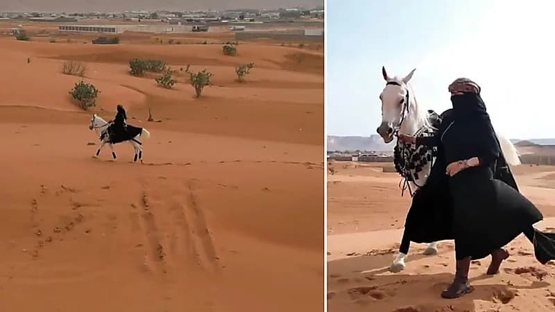 "شيهانة" فارسة سعودية تطلق رحلات تدريبية للنساء في عالم الفروسية.. فيديو