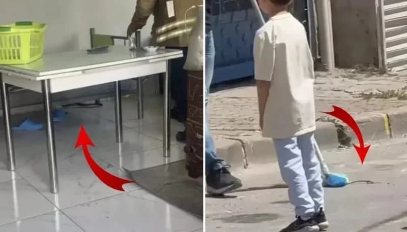 ثعابين تثير الذعر في إسطنبول بالتزامن مع موجة حر شديدة .. صور