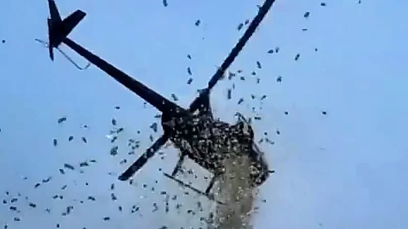 أمطار من الدولارات في سماء ديترويت: وصية غريبة تتحقق .. فيديو