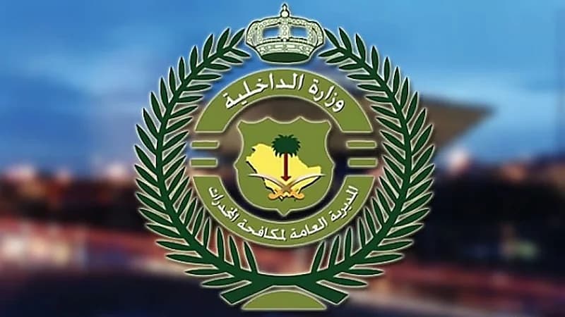 ضبط عدد من المخالفين في عدة مناطق بالمملكة.. فيديو