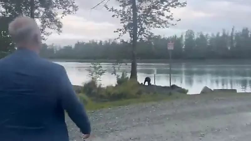 مبعوث روسي يتفاءل بنتائج قمة ألاسكا بعد رصده دبًا بنيًا ..فيديو