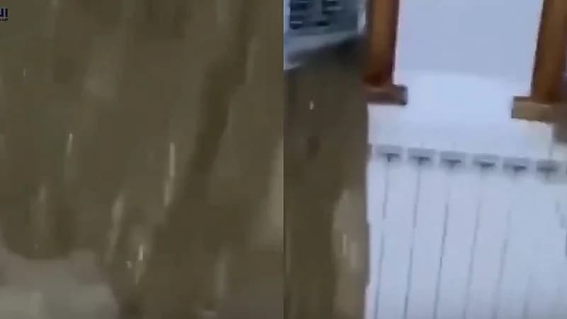 اليابان تطلق خدمة غريبة باستئجار رجال صلع وموشومين لحل المشكلات اليومية  .. فيديو
