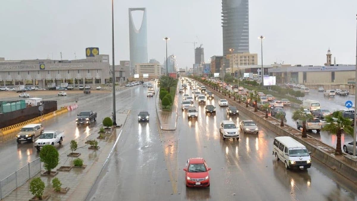 الأرصاد: فرص هطول الأمطار مستمرة حتى نهاية الأسبوع الجاري .. فيديو