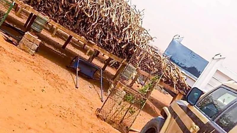 ضبط 13 مخالفًا لبيعهم وتخزينهم حطبًا محليًا بمكة والمدينة المنورة