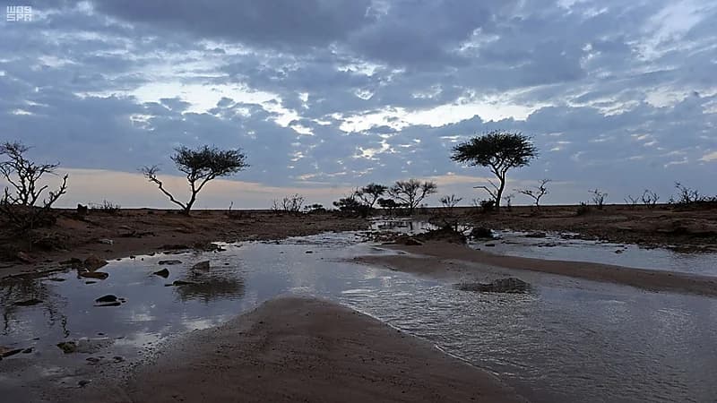 الأرصاد: 5 أيام وينتهي الشتاء وسنشهد موجة باردة في مارس.. فيديو