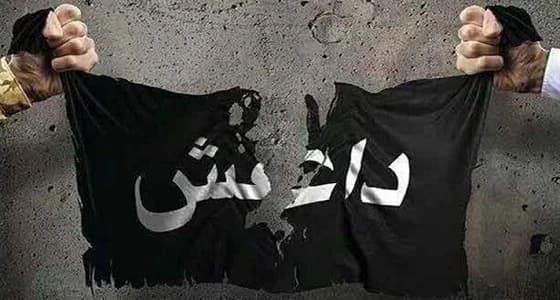 مقتل 4 إرهابيين على يد القوات العراقية