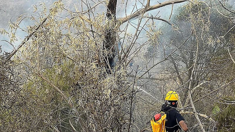 مدني جازان يسيطر على حريق في أعشاب بمنطقة جبلية
