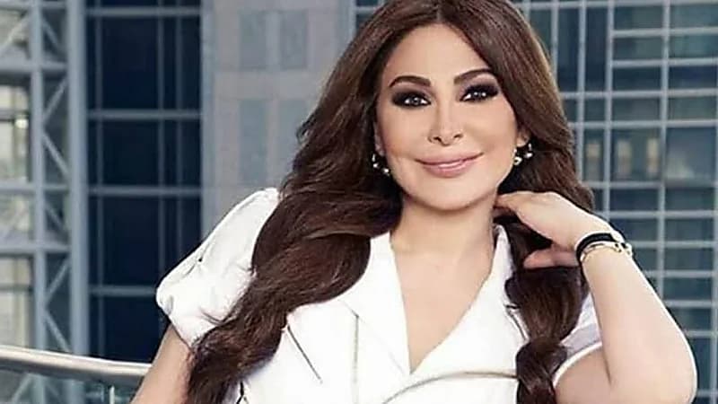 إليسا تنتصر قضائيًا في دبي: فسخ اتفاقيتها مع "وتري" ومنع توزيع أغانيها