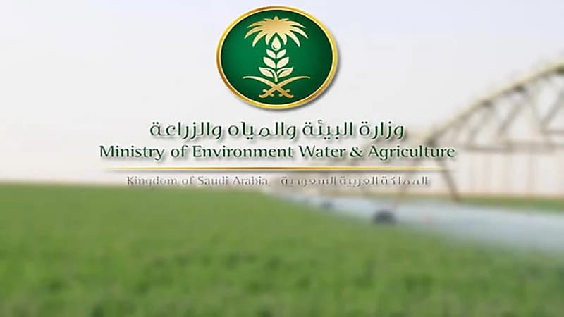البيئة توضح ممارسات تضر بالحياة على كوكب الأرض