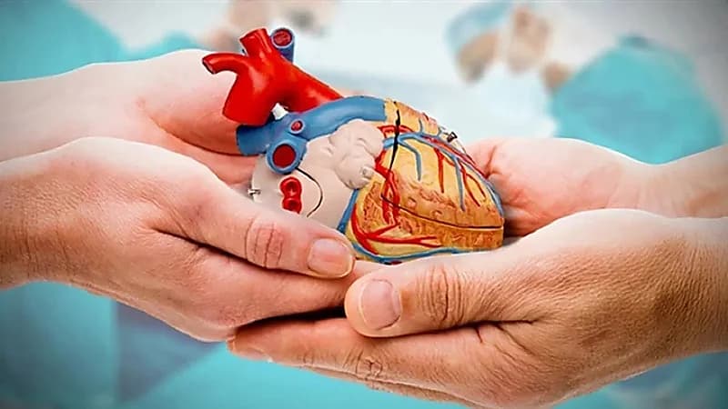 بعد تسجيل خادم الحرمين وولي العهد.. تعرف على طريقة التسجيل في برنامج التبرع بالأعضاء