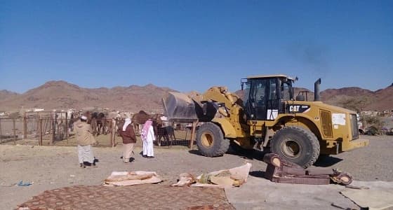 بالصور.. رفع 45 حظيرة أغنام عشوائية بالبيداء