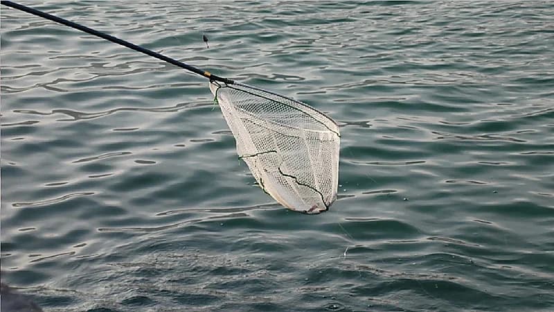 رجل يقتل شابا بشبكة صيد كهربائية