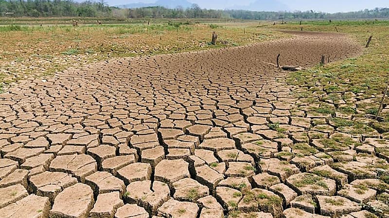 الحصيني يكشف موعد بداية مربعانية القيظ والصيف