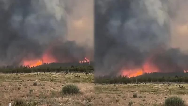 حريق ضخم في ولاية يوتا الأمريكية يلتهم 10 آلاف فدان من الأراضي.. فيديو