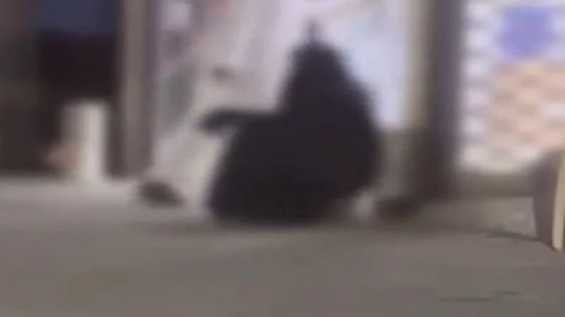 شاهد.. ضبط عدد من المتسولين بجازان