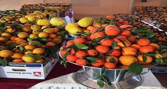 افتتاح مهرجان الحمضيات الثاني بحريق الرياض