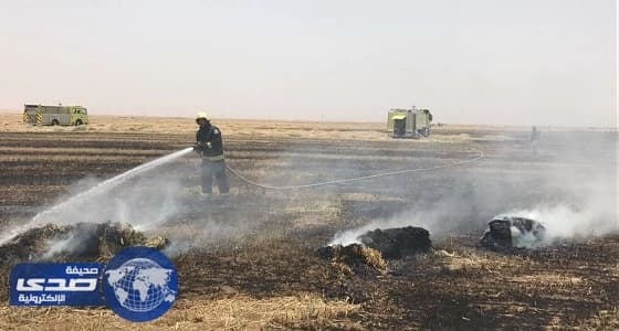 بالصور.. مدني تبوك  يُخمد حريقًا اندلع في مرزعة برسيم بطريق المدينة