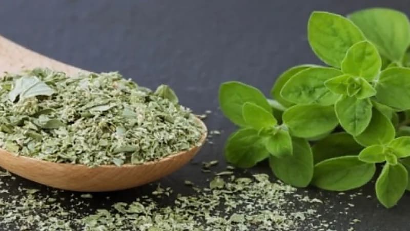 فوائد البردقوش الصحية للرحم والمبايض