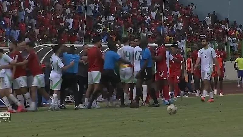 اشتباك بالأيدي بين لاعبي الجزائر وغينيا الاستوائية .. فيديو