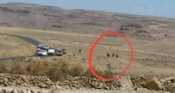 بعد اغتيال صالح.. صورة جديدة تظهر مركبات الحوثيين