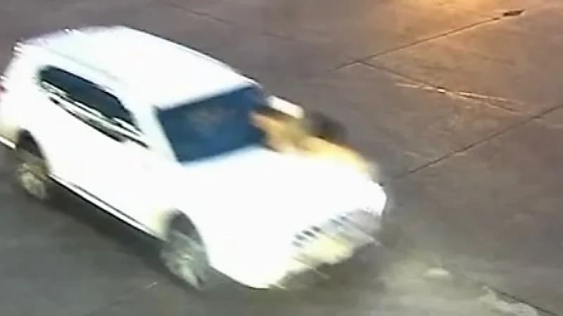 شاهد.. أم تتصدى لمحاولة سرقة سيارتها وتحاول انقاذ أطفالها