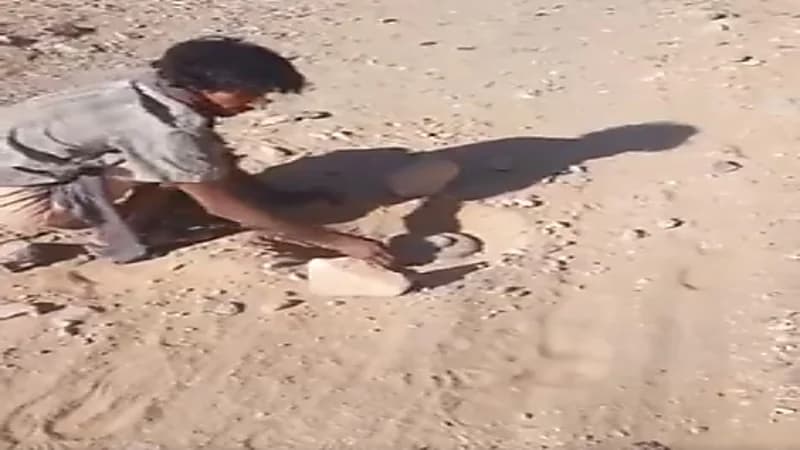 شاهد.. شاب يمني ينتزع أكثر من 50 لغماً حوثياً