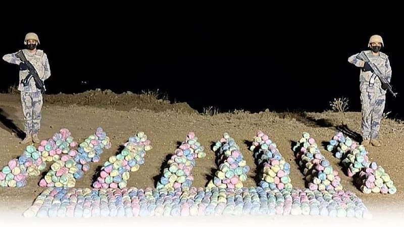 إحباط تهريب 240 كلجم من نبات القات المخدر بعسير