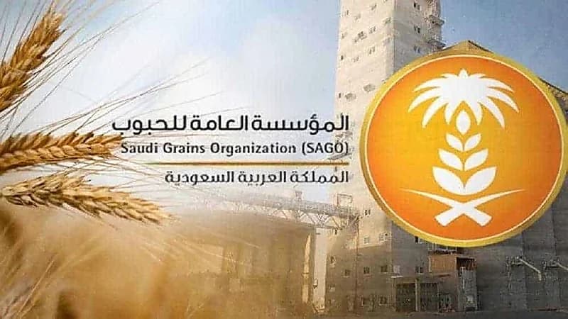 اعتماد سعر شراء القمح من المزارعين المحليين للموسم القادم