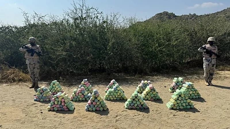 القبض على 5 أشخاص وإحباط محاولة تهريب مواد مخدرة بجازان وعسير